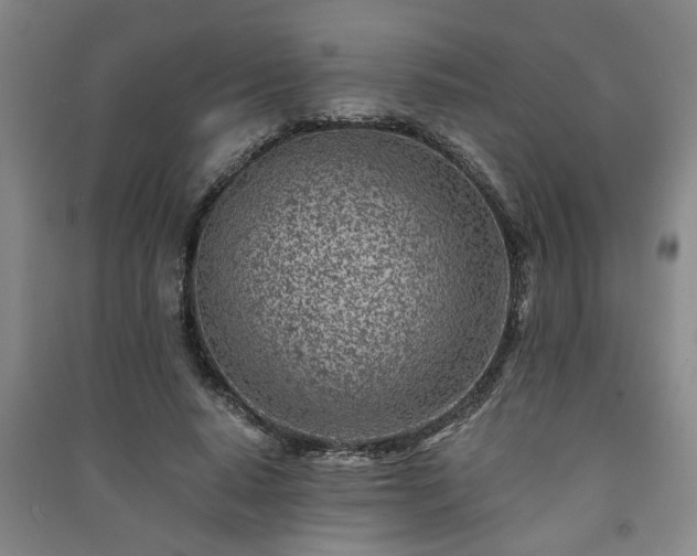 X0000091220640200708161657