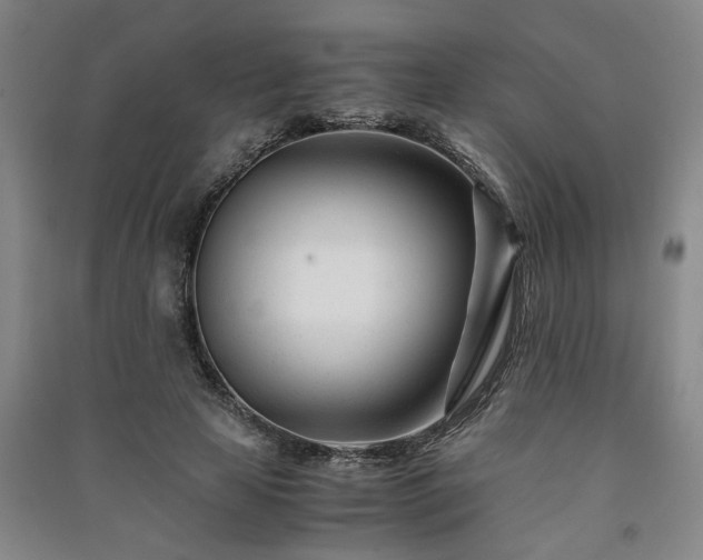 X0000091220641200708161657