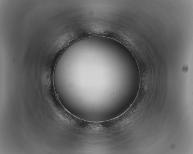 X0000091220642200708161657