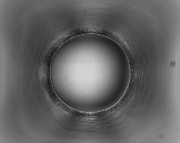 X0000091220643200708161657