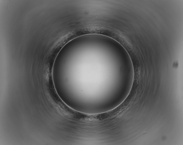 X0000091220644200708161657