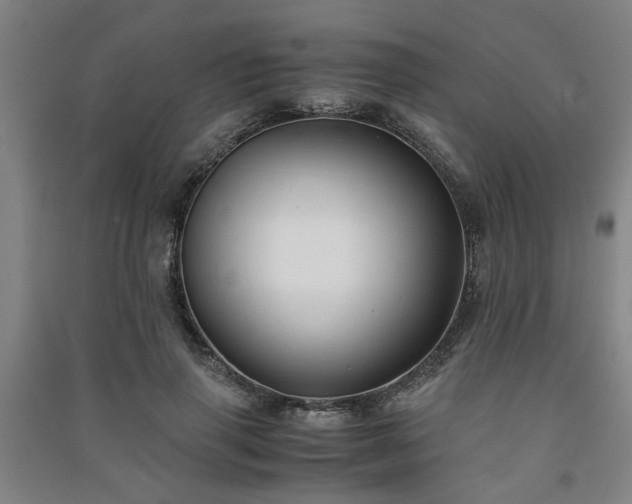 X0000091220645200708161657