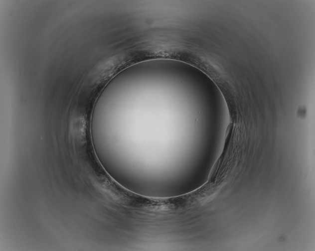 X0000091220646200708161657