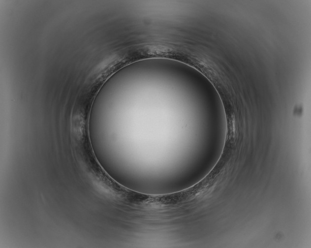 X0000091220648200708161657