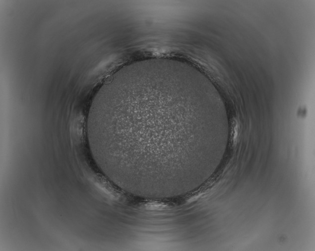 X0000091220650200708161657