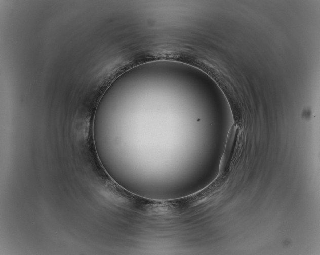 X0000091220652200708161657