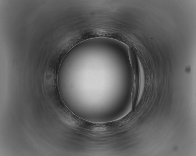 X0000091220653200708161657