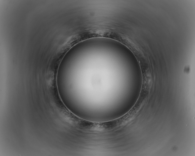 X0000091220656200708161657