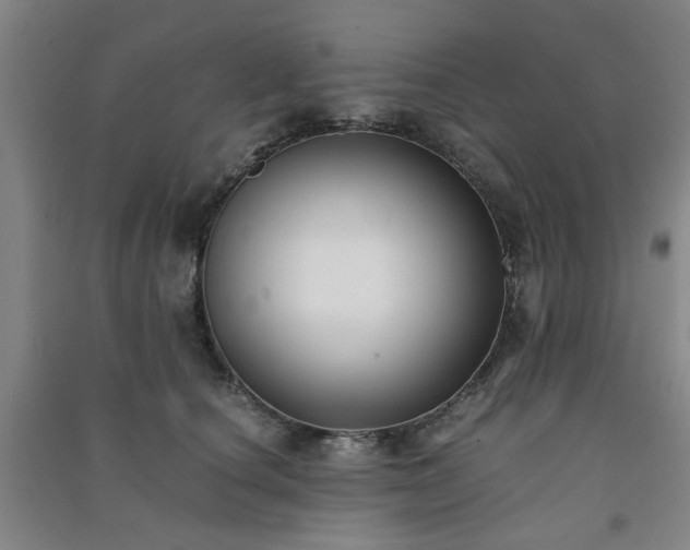 X0000091220660200708161657