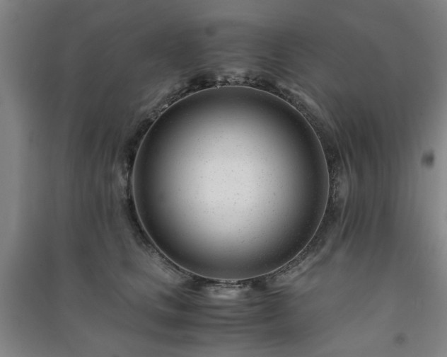 X0000091220661200708161657