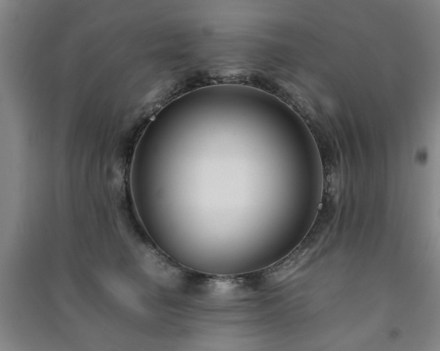 X0000091220662200708161657