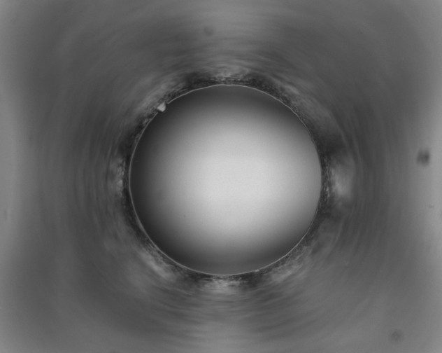 X0000091220664200708161657