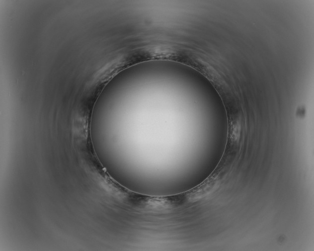 X0000091220666200708161657