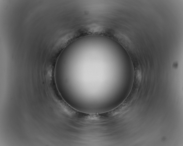 X0000091220668200708161657