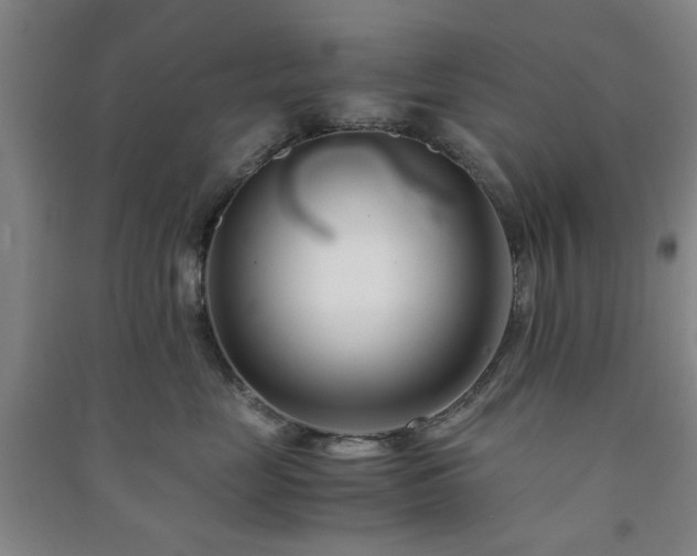 X0000091220669200708161657