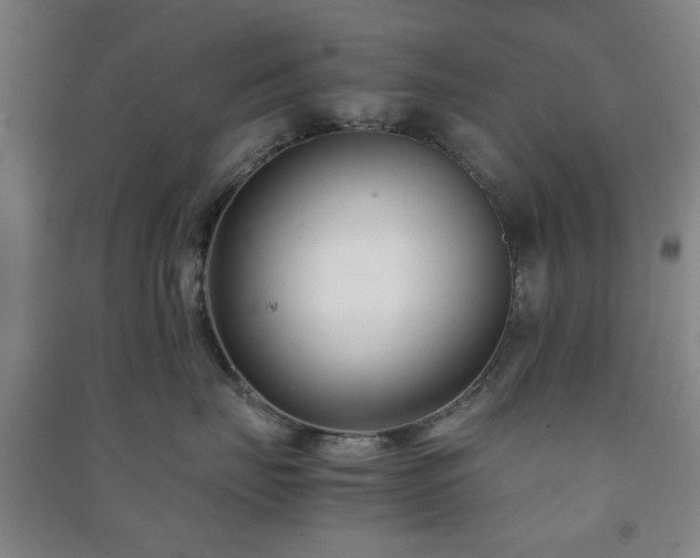 X0000091220671200708161657