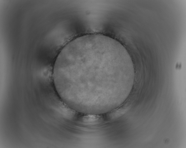 X0000091220672200708161657