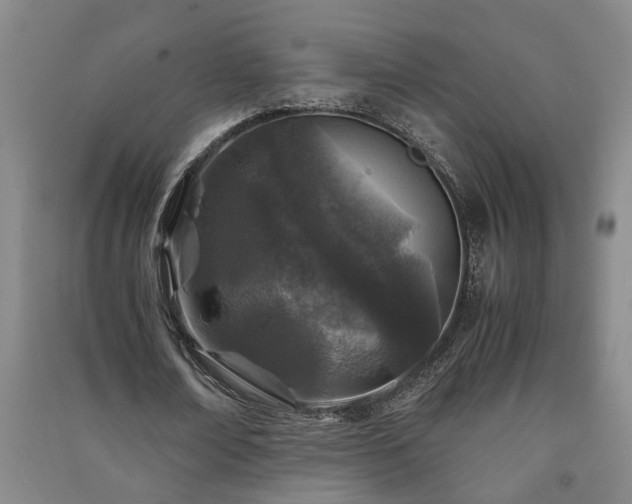 X0000091220674200708161657