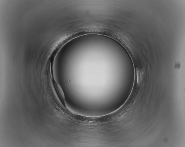 X0000091220675200708161657