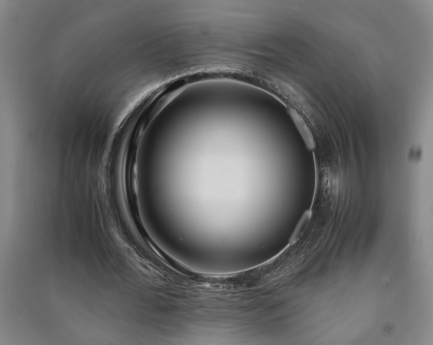 X0000091220676200708161657