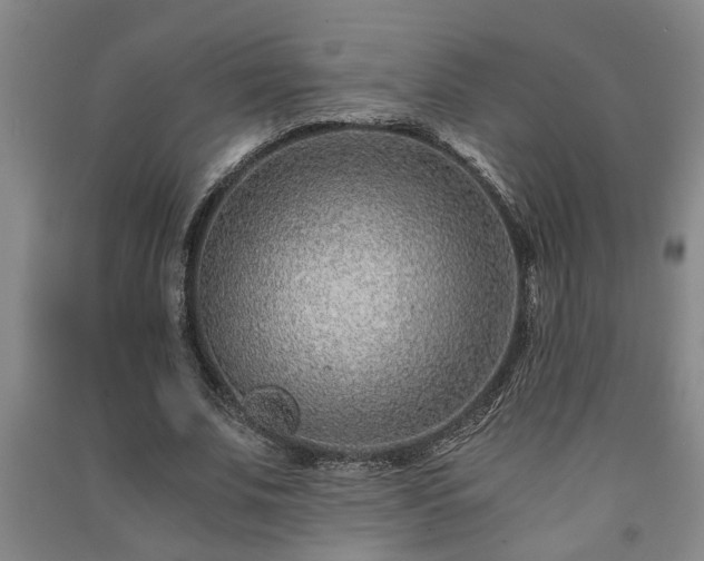 X0000091220679200708161657