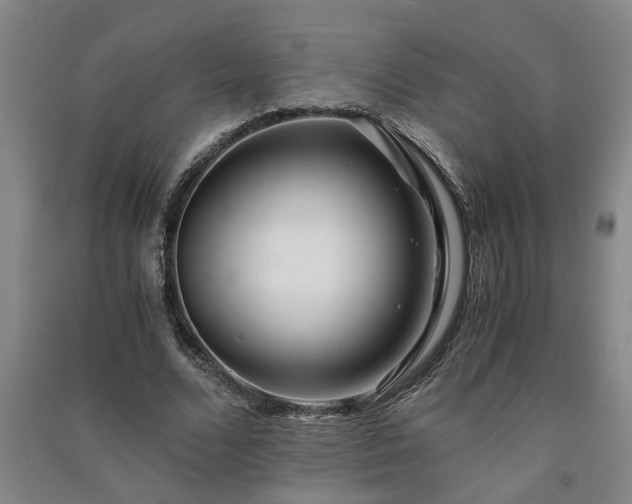 X0000091220680200708161657