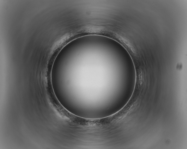 X0000091220682200708161657