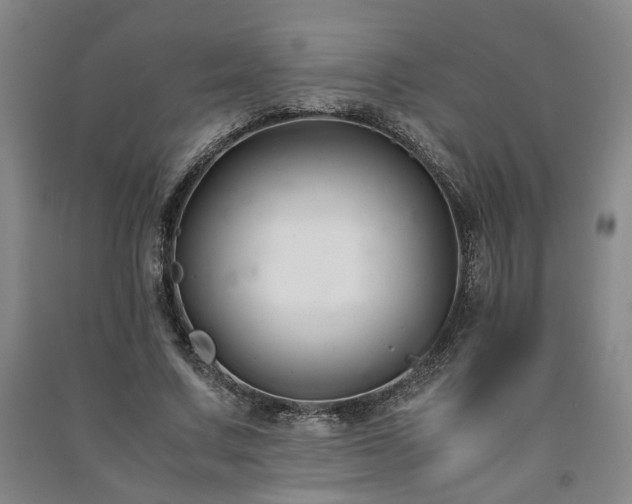 X0000091220683200708161657