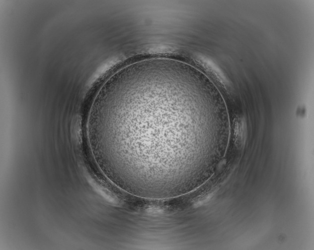 X0000091220684200708161657