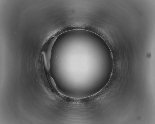 X0000091220688200708161657