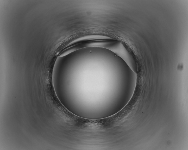 X0000091220689200708161657