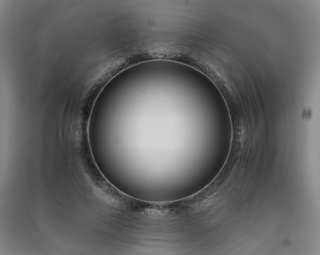 X0000091220690200708161656