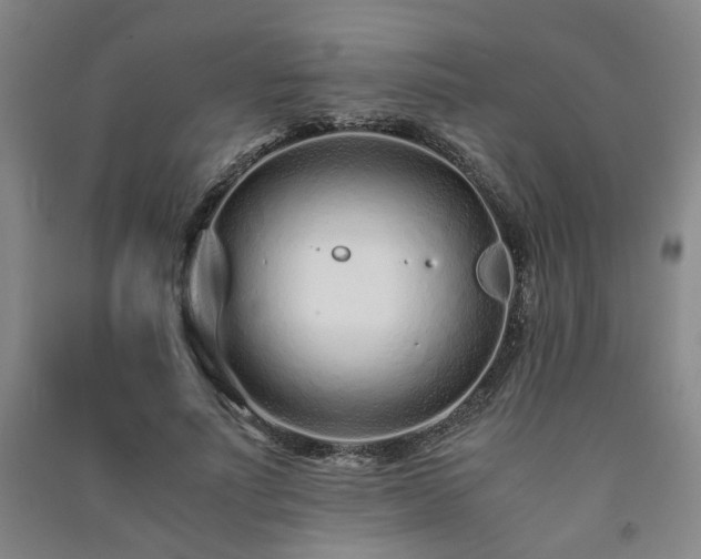 X0000091220691200708161656