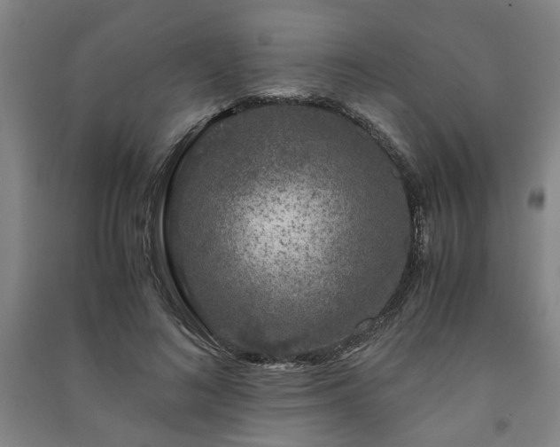 X0000091220692200708161656