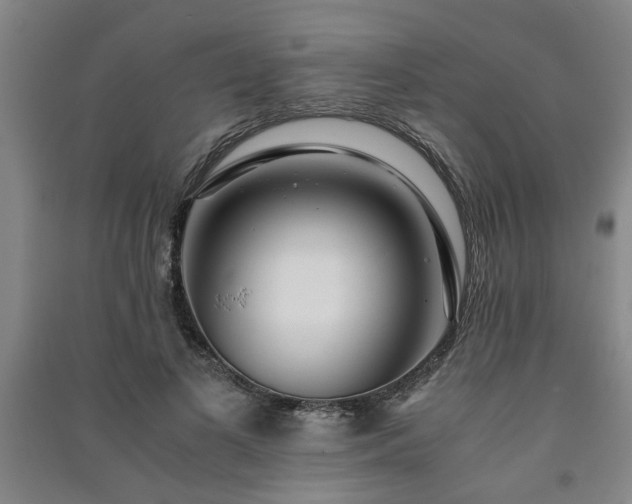 X0000091220693200708161656