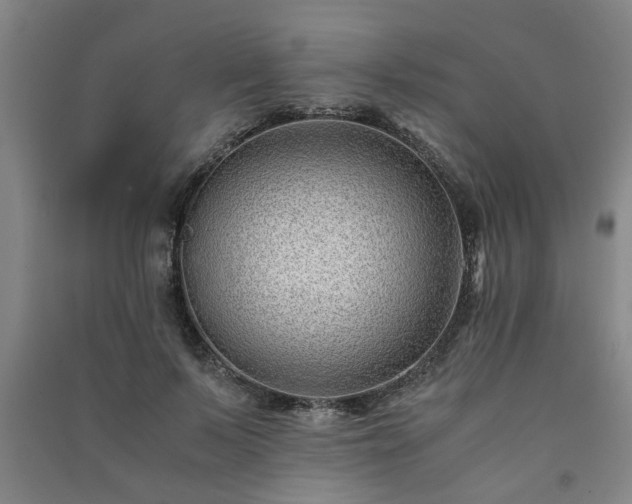 X0000091220695200708161656