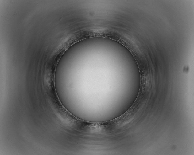 X0000091220698200708161656