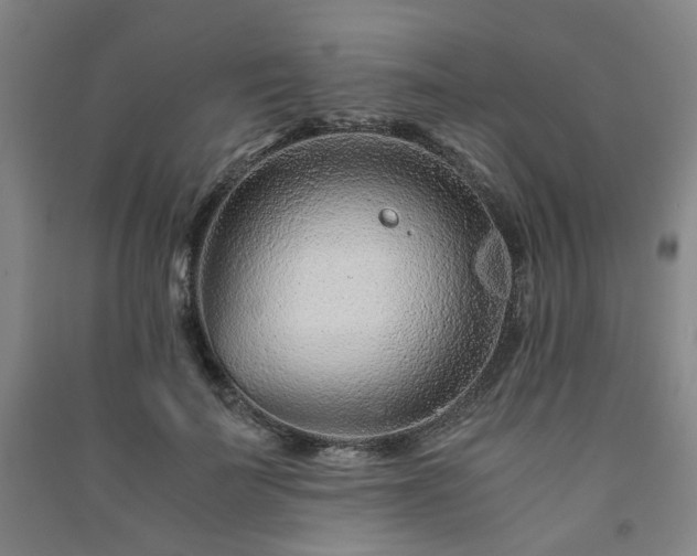 X0000091220699200708161656