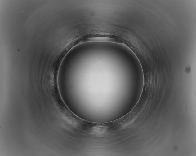 X0000091220700200708161656