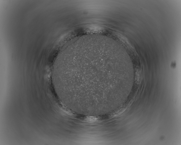 X0000091220701200708161656