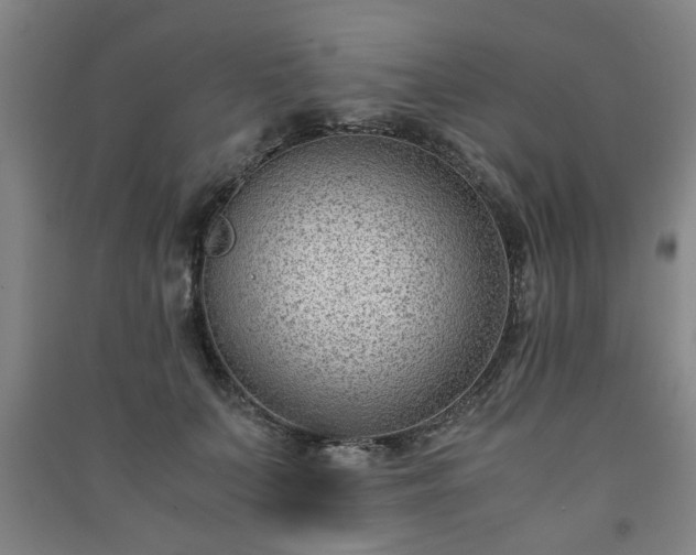 X0000091220703200708161656