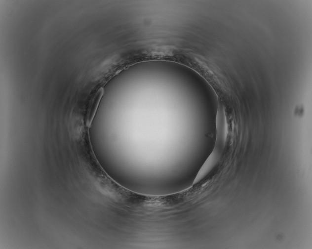 X0000091220704200708161656