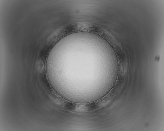 X0000091220705200708161656