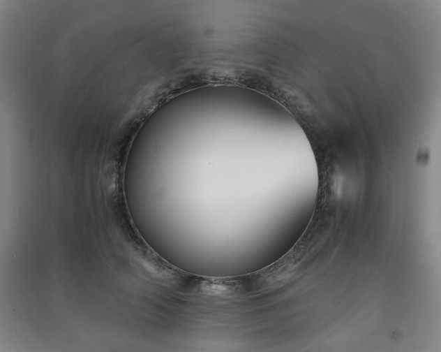 X0000091220706200708161656