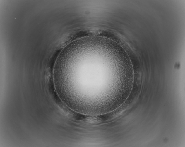 X0000091220707200708161656