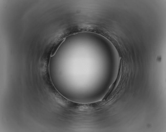 X0000091220708200708161656