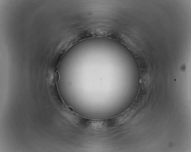 X0000091220709200708161656