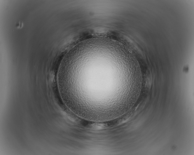 X0000091220711200708161656