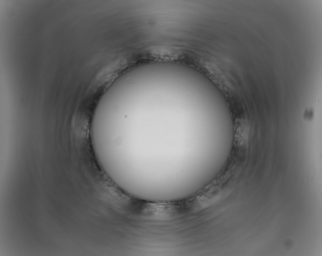 X0000091220713200708161656