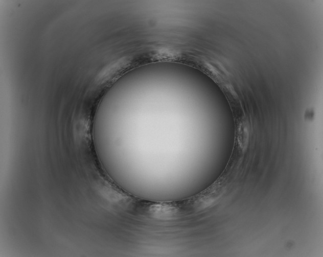 X0000091220714200708161656